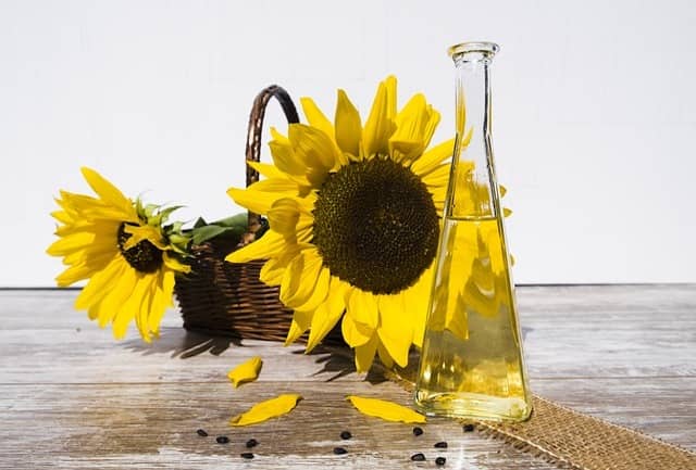Slunečnicový olej je plný omega-6 mastných kyselin