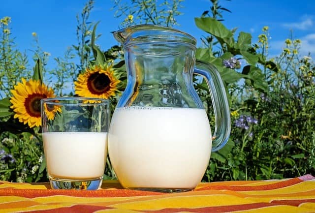 Vitamin B2 najdeme v mléku a mléčných výrobcích