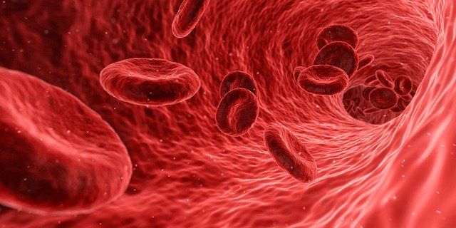Buňky červených krvinek