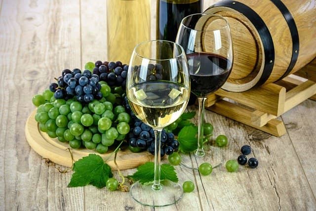Sud a sklenice s vínem a hroznové víno