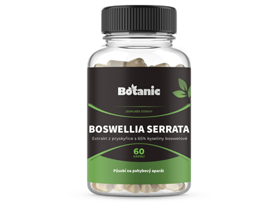 Boswellia Serrata - Extrakt z pryskyřice s 65 % kyseliny boswellové v kapslích